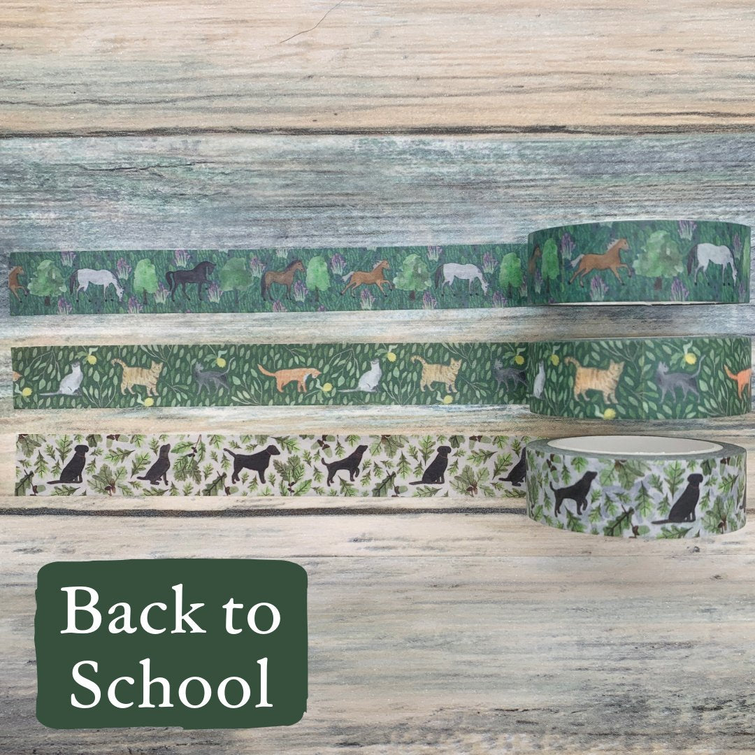 Back to School