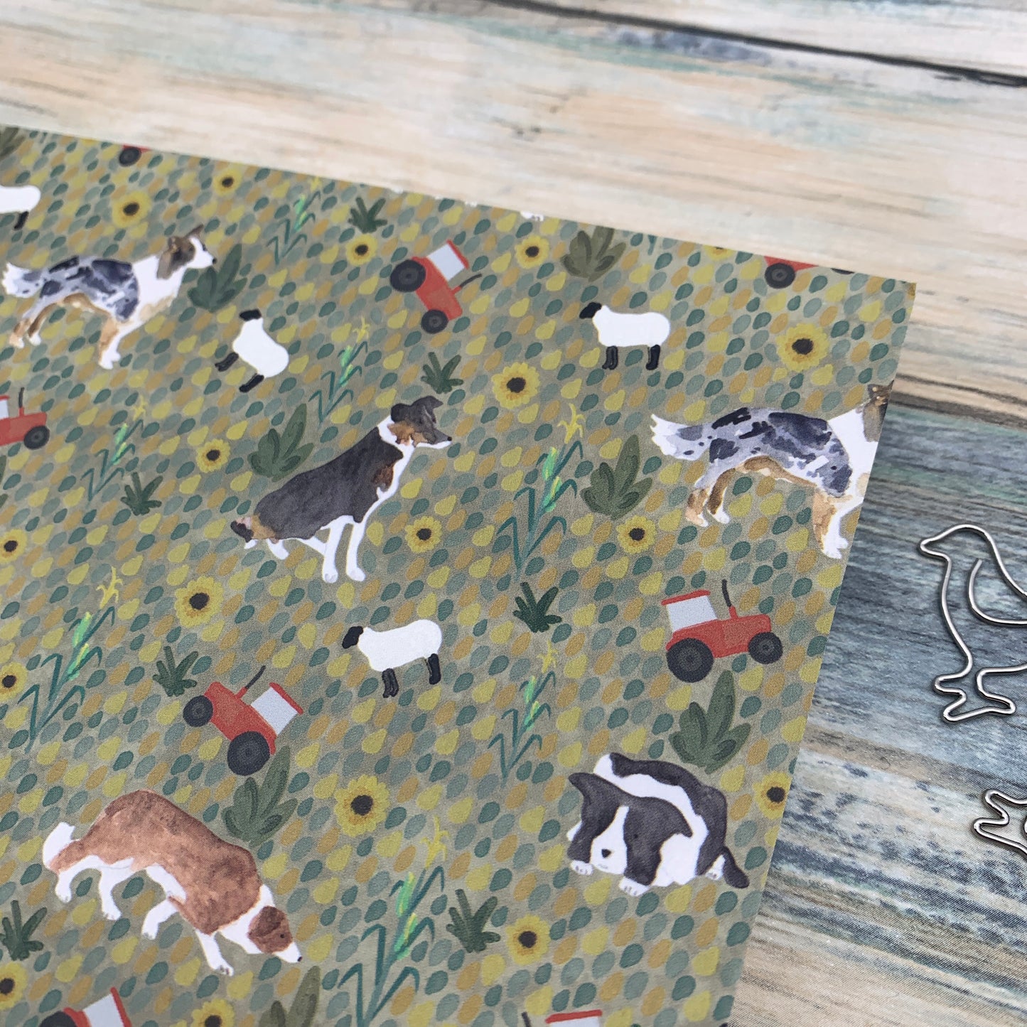 Border Collie Notebook