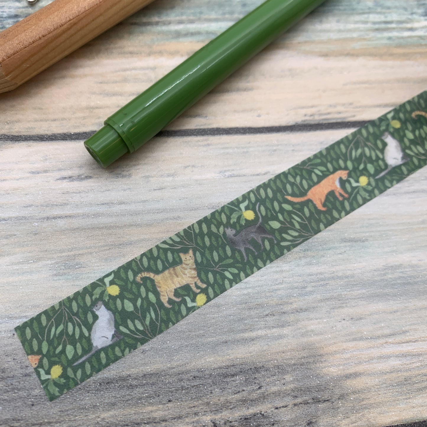 Cat stationery bundle set
