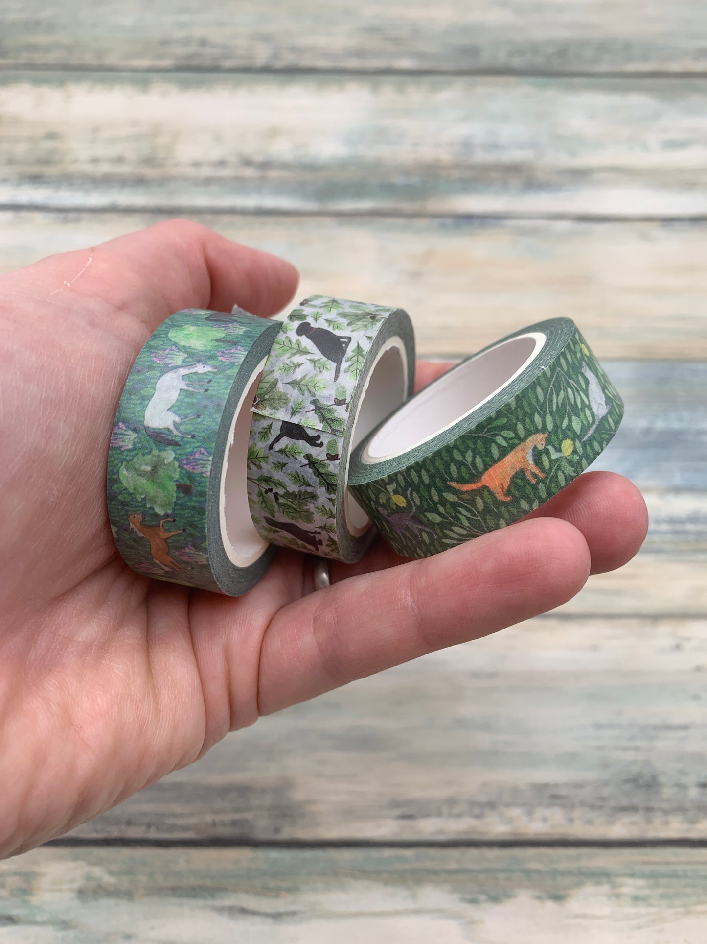 Horse Washi Tape