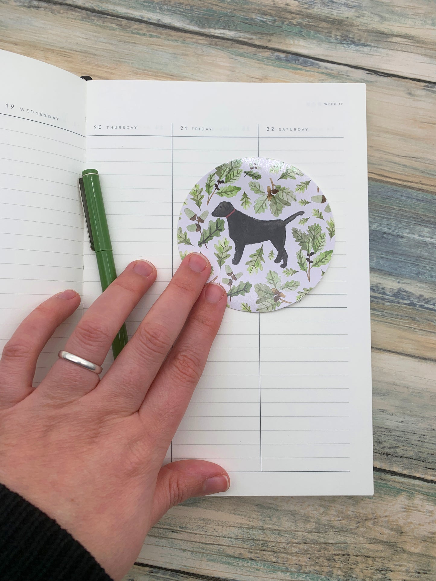 Black Labrador Sticker