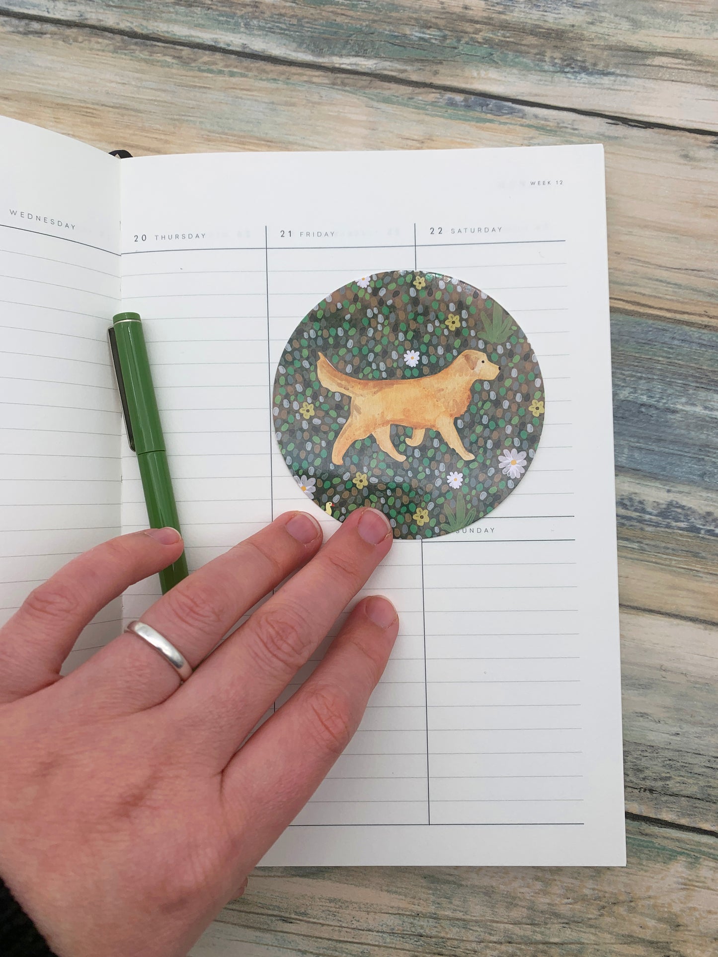 Golden Retriever dog Sticker