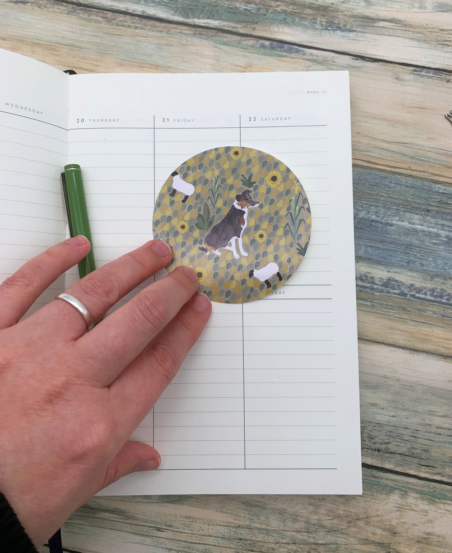 Border Collie Sticker