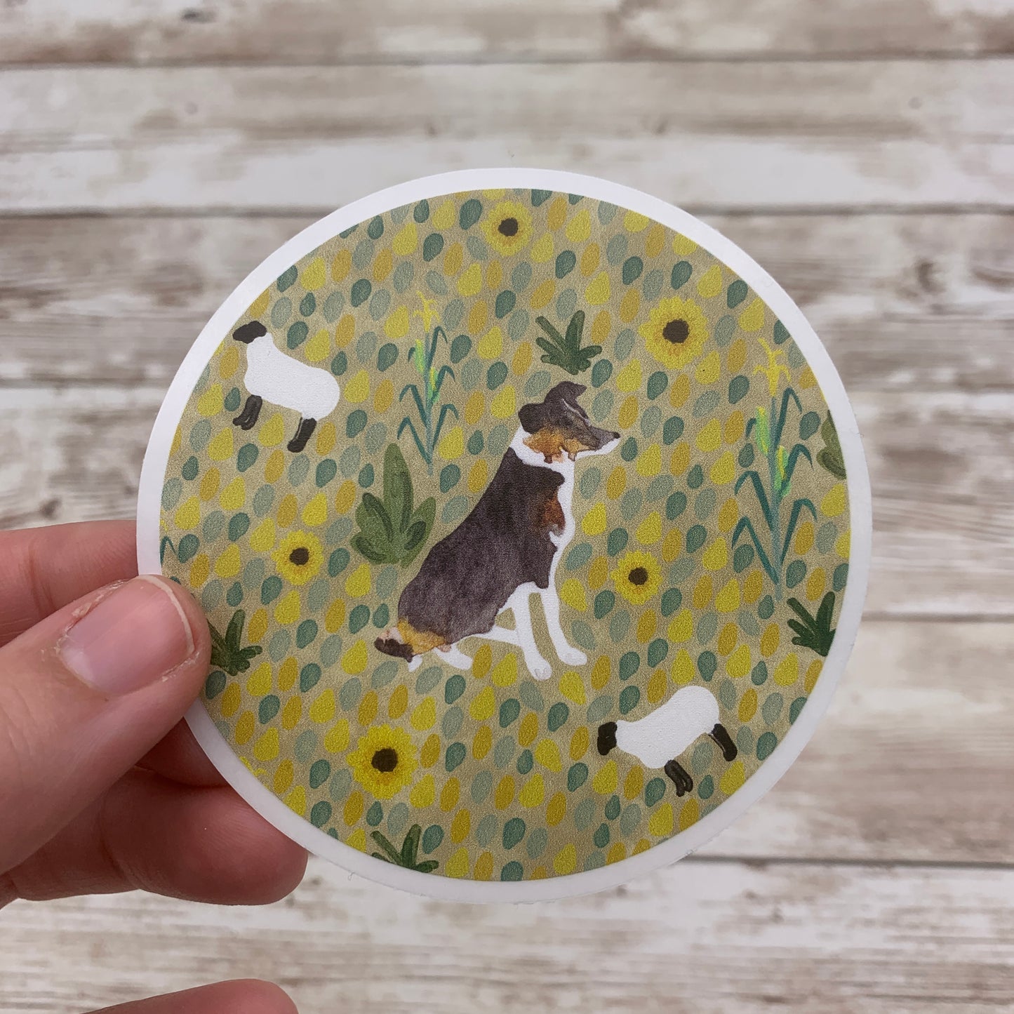 Border Collie Sticker