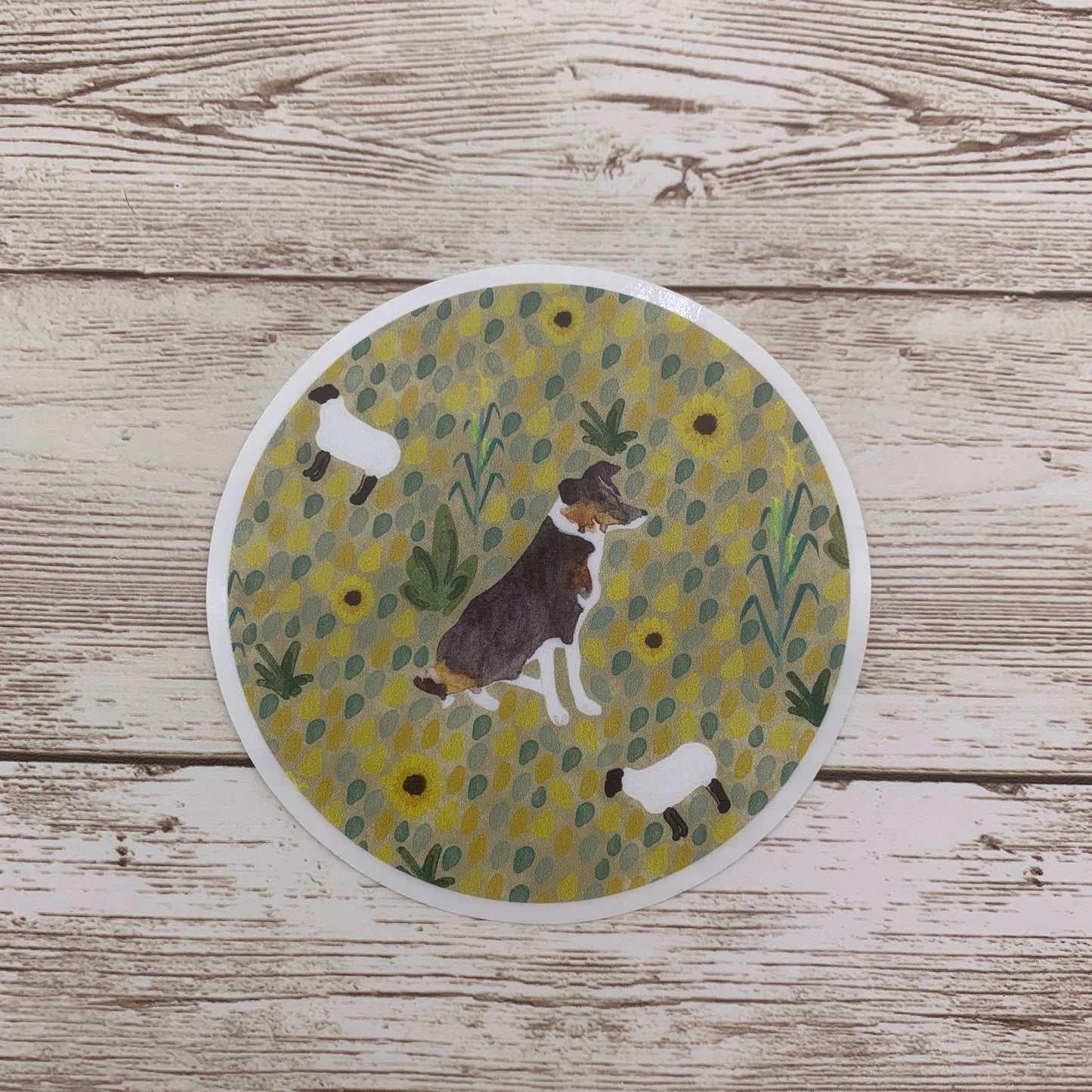 Border Collie Sticker