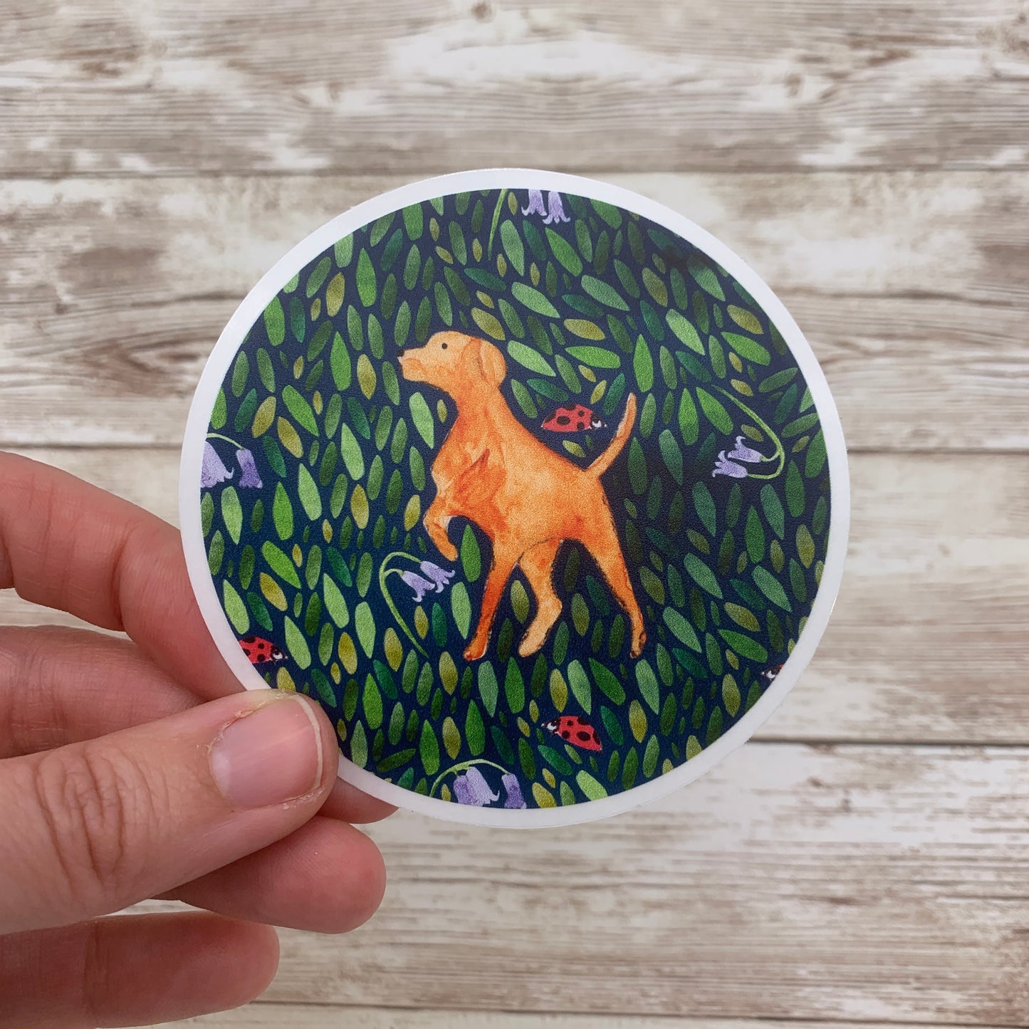 Fox Red Labrador Sticker