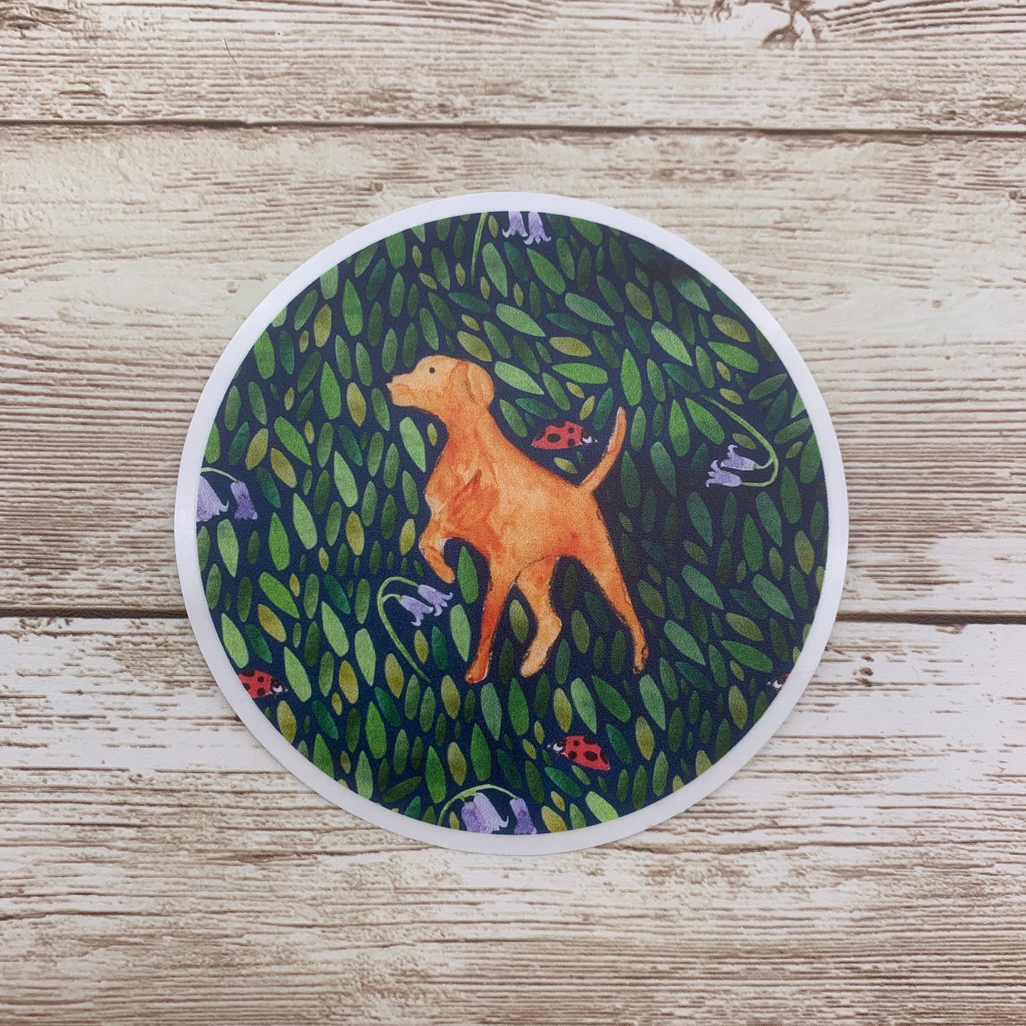 Fox Red Labrador Sticker