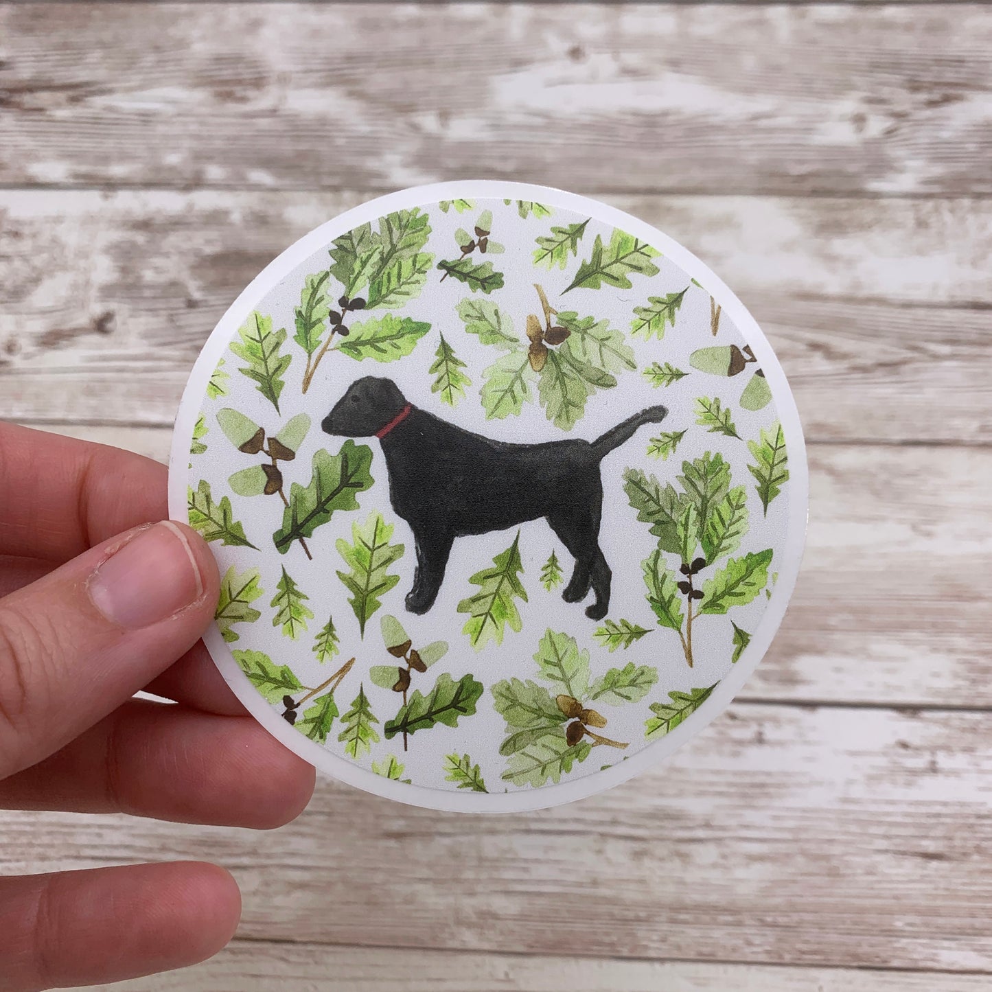 Black Labrador Sticker