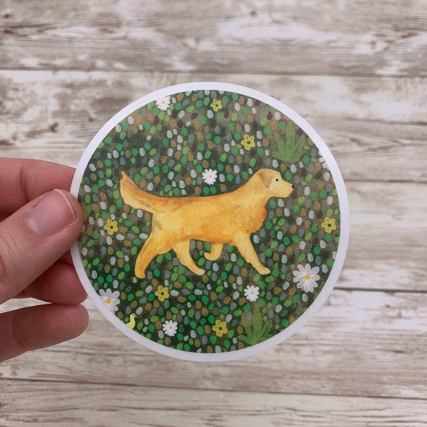 Golden Retriever dog Sticker