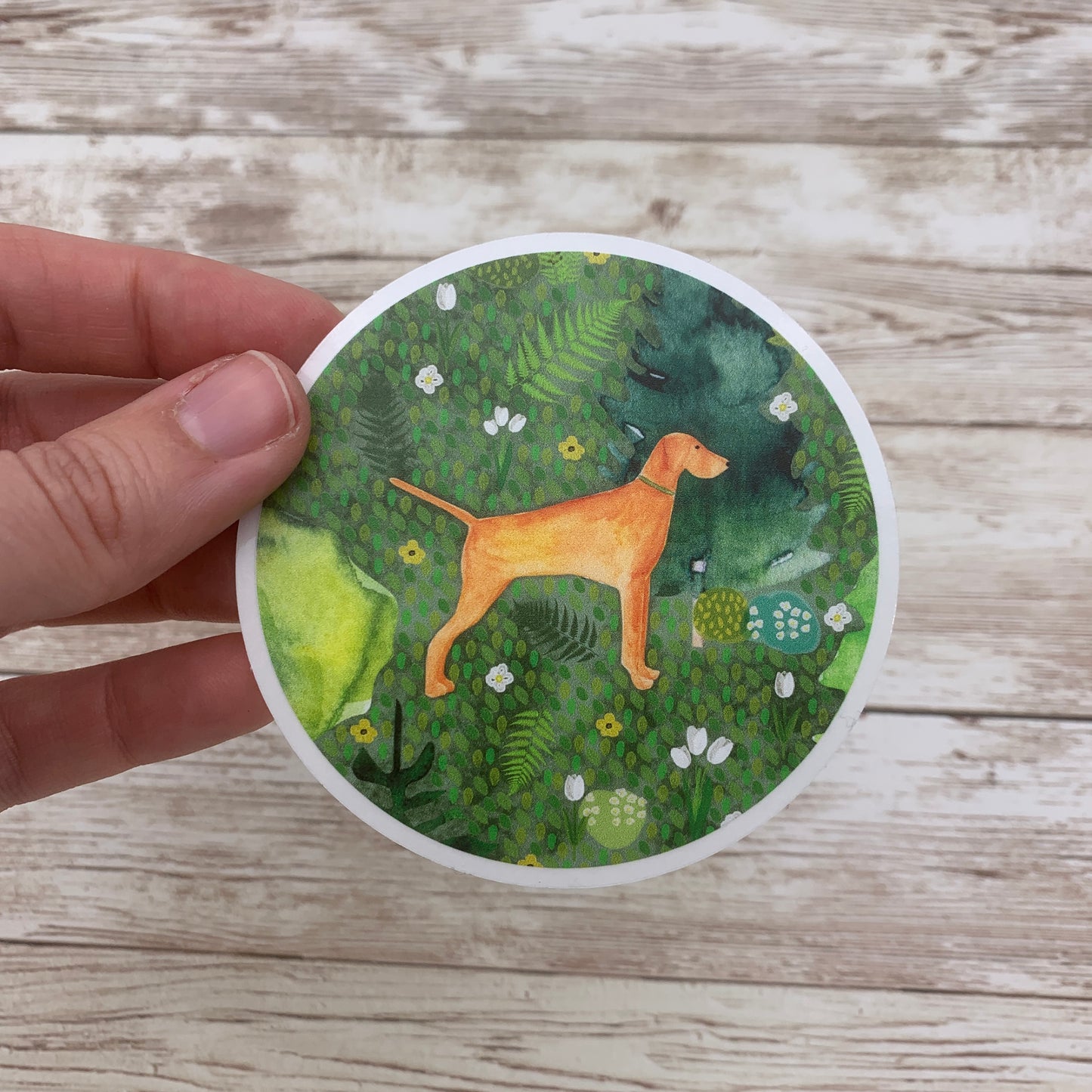 Vizsla dog Sticker