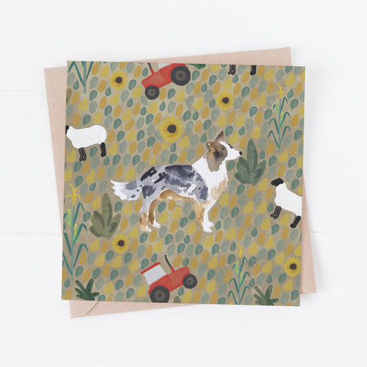 Blue Merle Border Collie Greeting Card