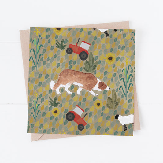Brown and White Border Collie Greeting Card