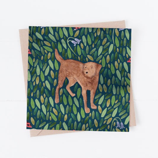 Chocolate Labrador Greeting Card