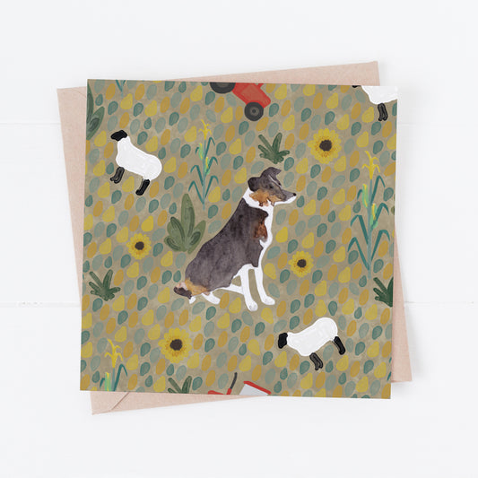 Tri Colour Border Collie Greeting Card