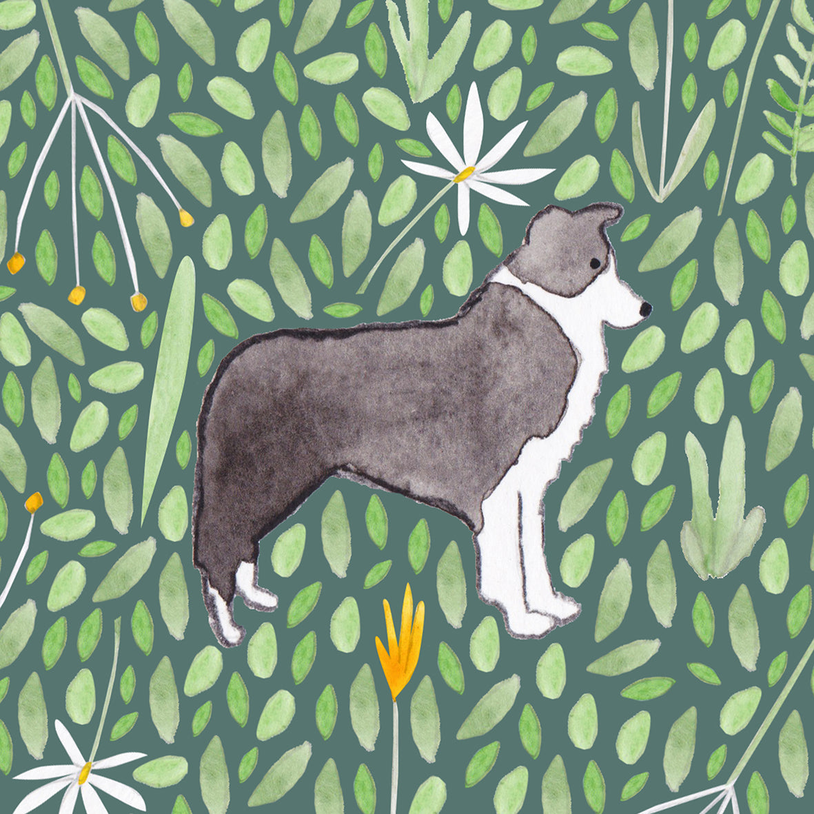 Border Collie greeting card