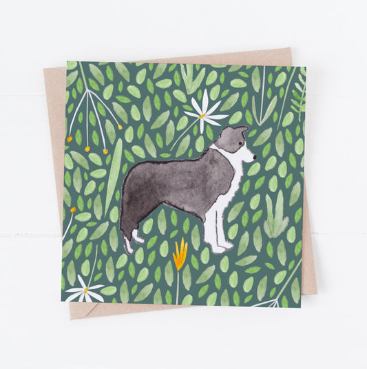 Border Collie greeting card