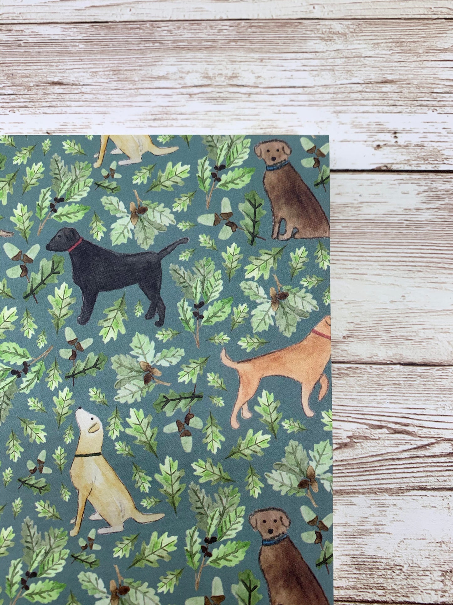 Labrador Notebook