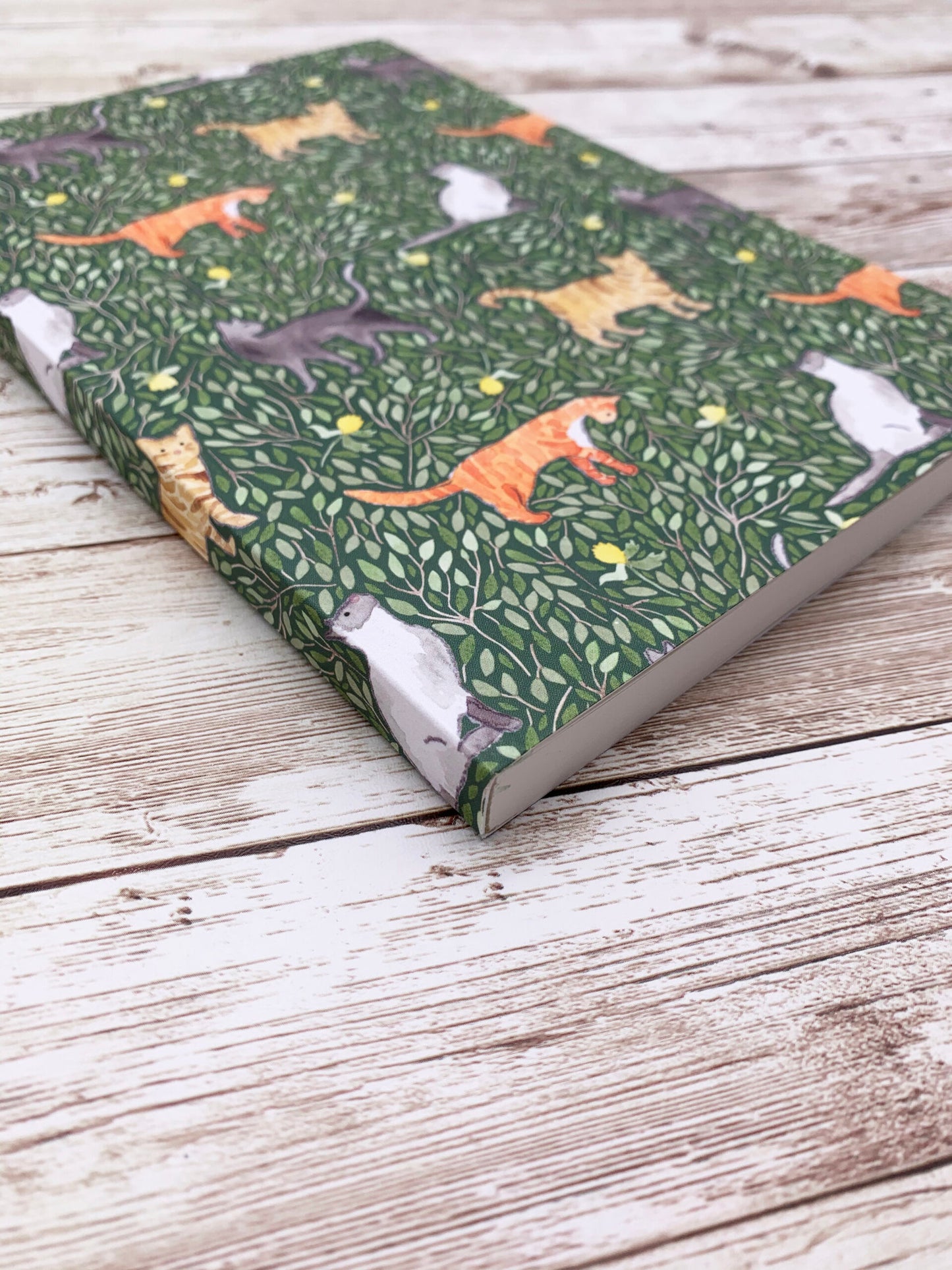 Cat stationery Gift Set