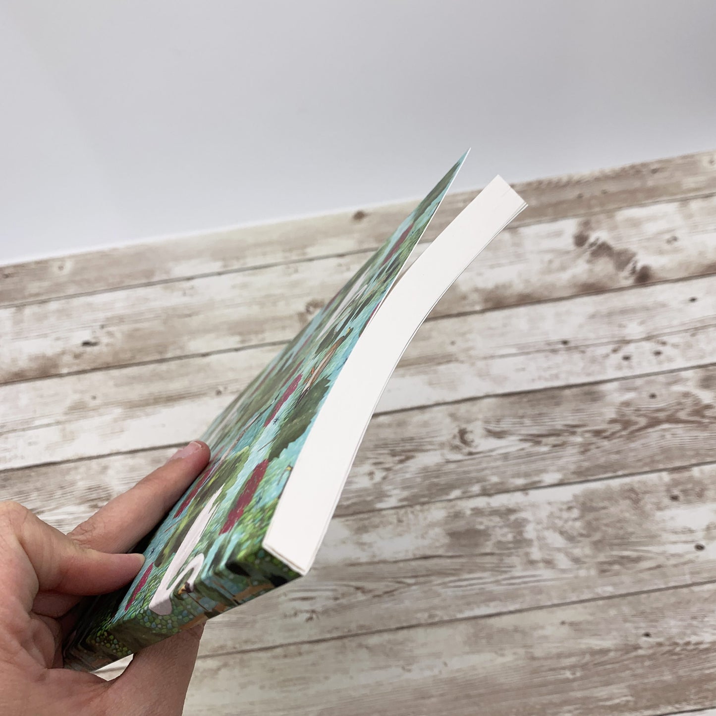 Lake Notebook