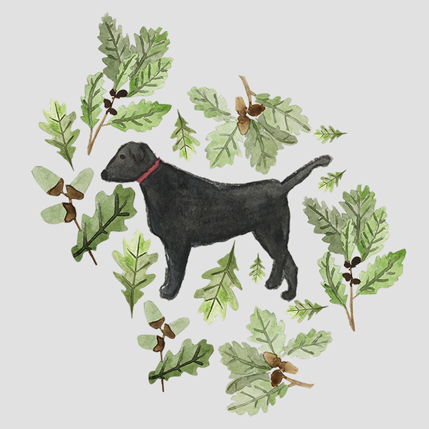 Black Labrador Greeting Card