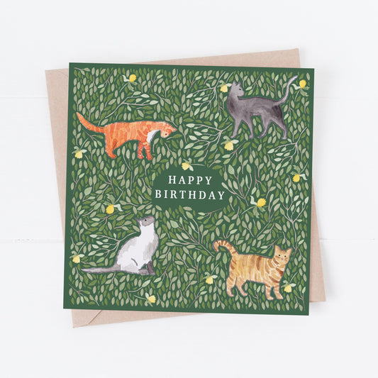 Cat Happy birthday card