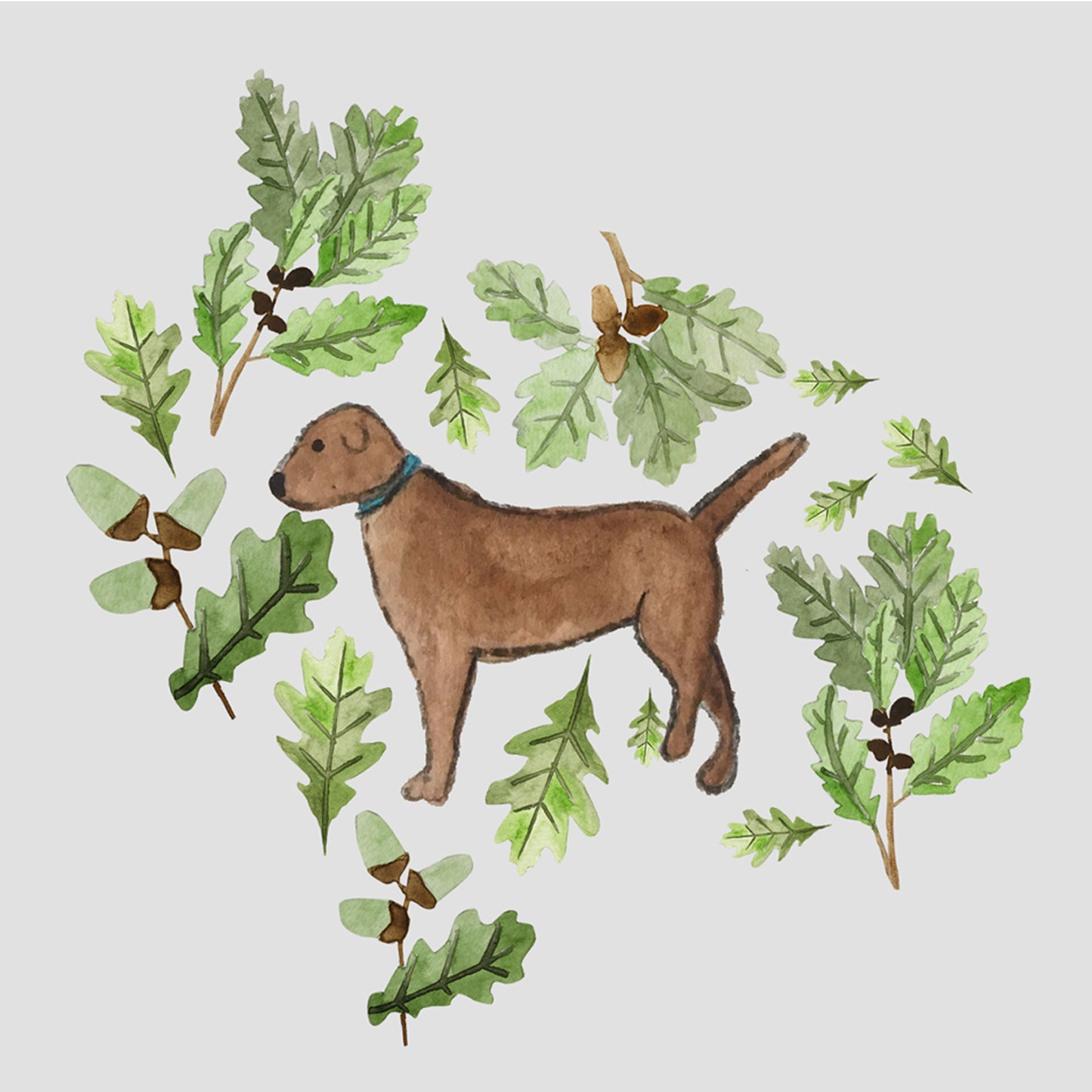 Chocolate Labrador greeting card