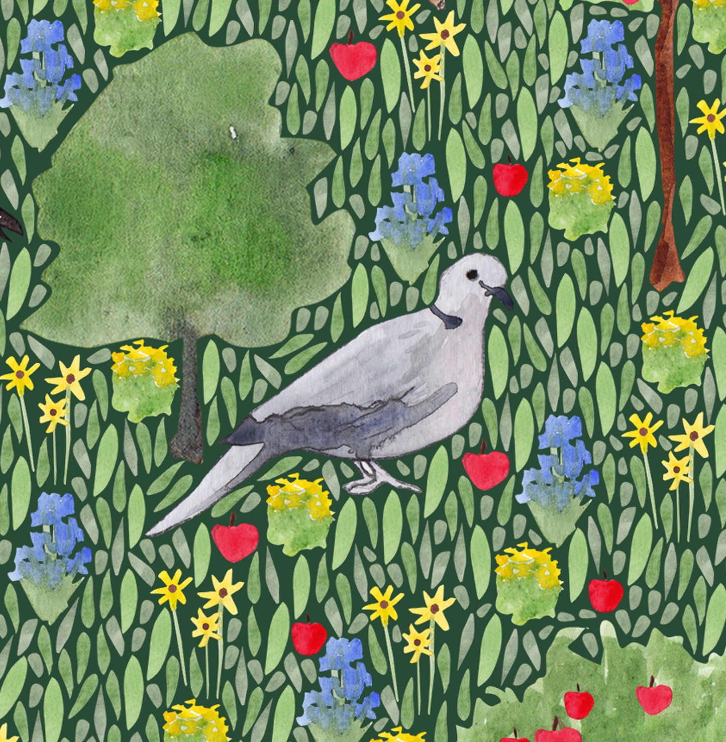 Dove Greeting Card