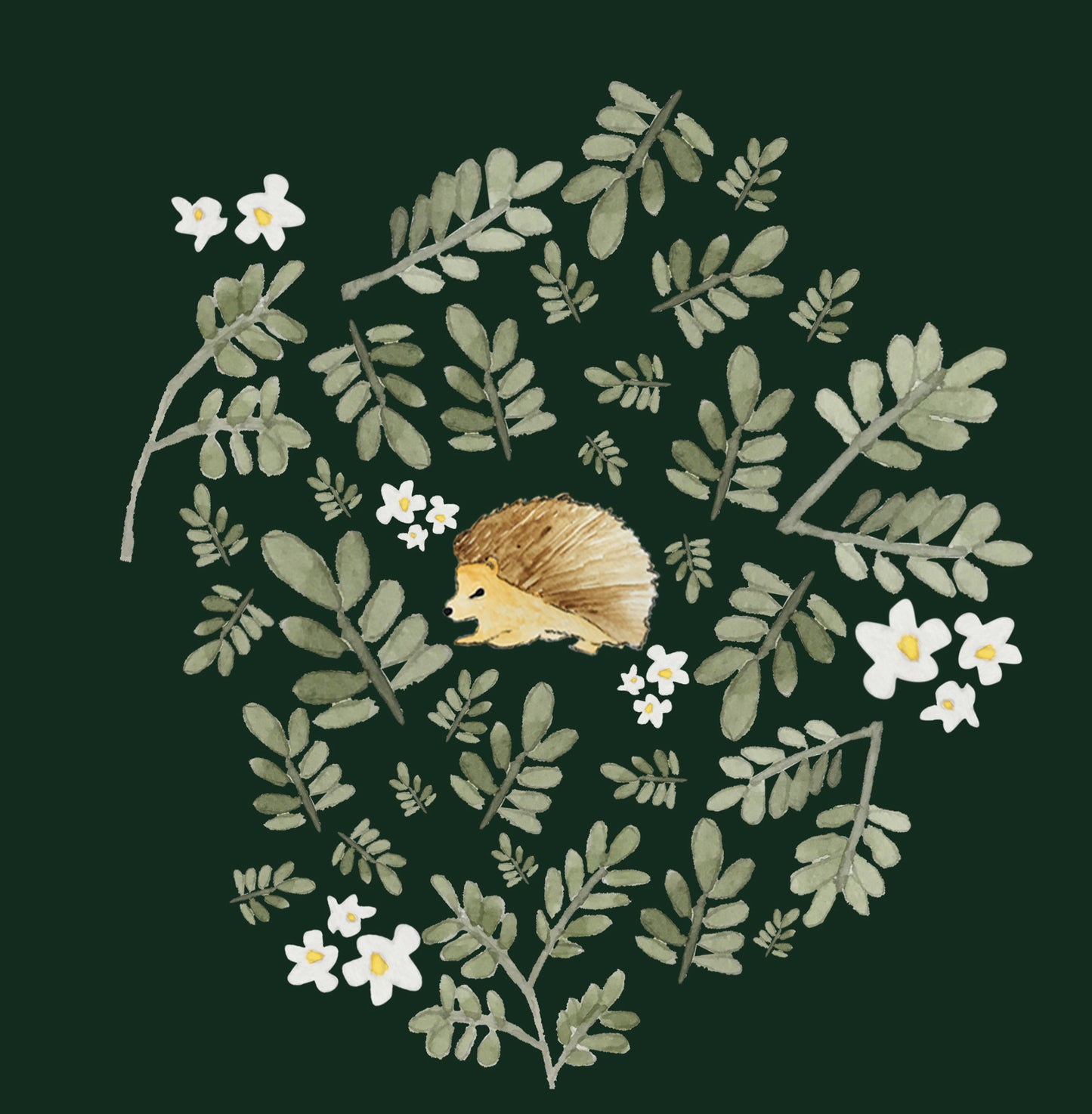 Hedgehog Greeting Card