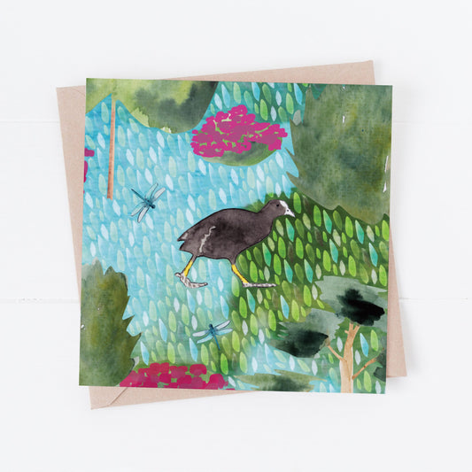 Moorhen Greeting Card