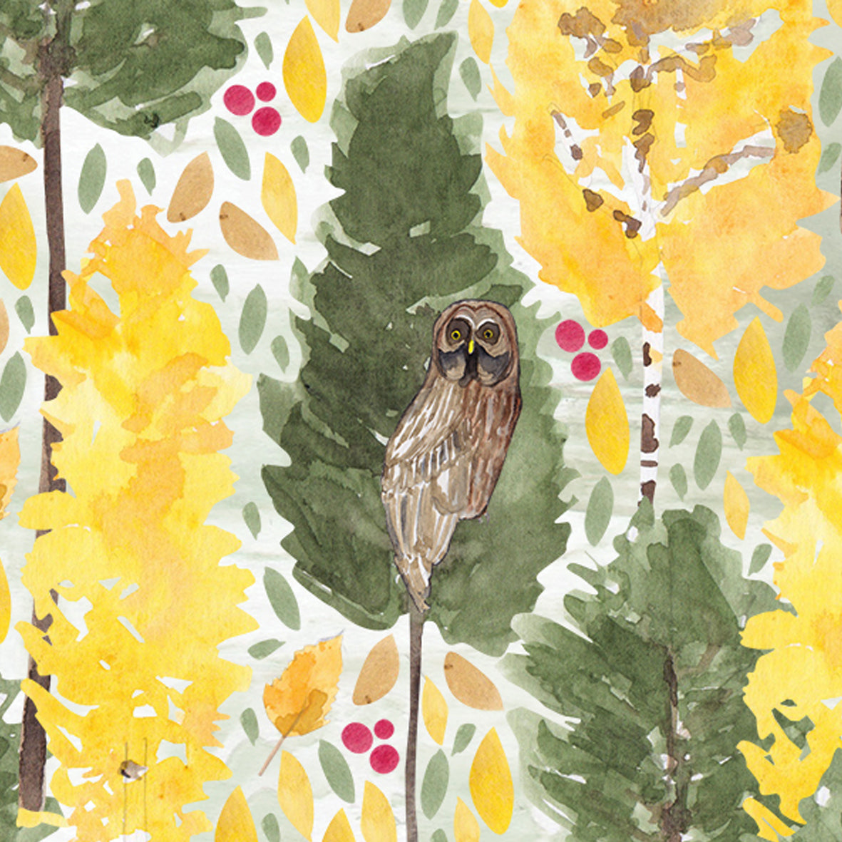 Owl greeting Card