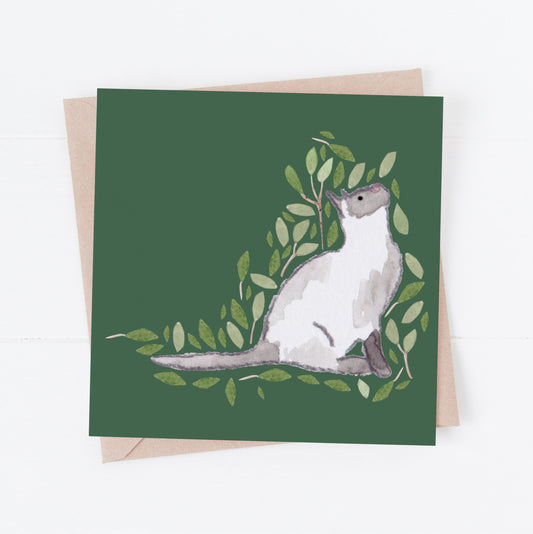 Ragdoll Cat Greeting Card