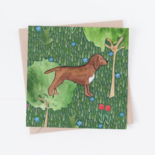 Sprocker Spaniel greeting card