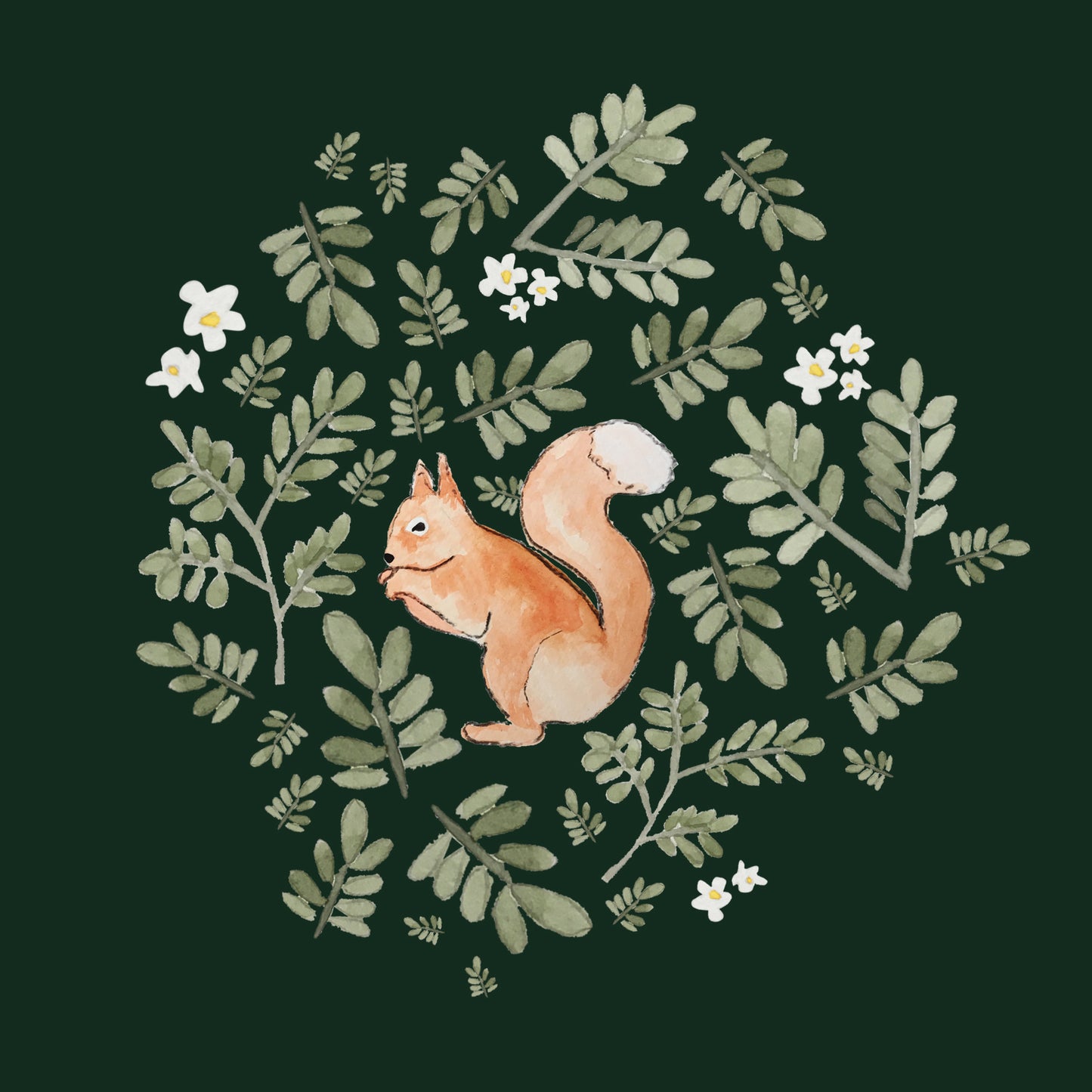 Squirrel Greeting Card