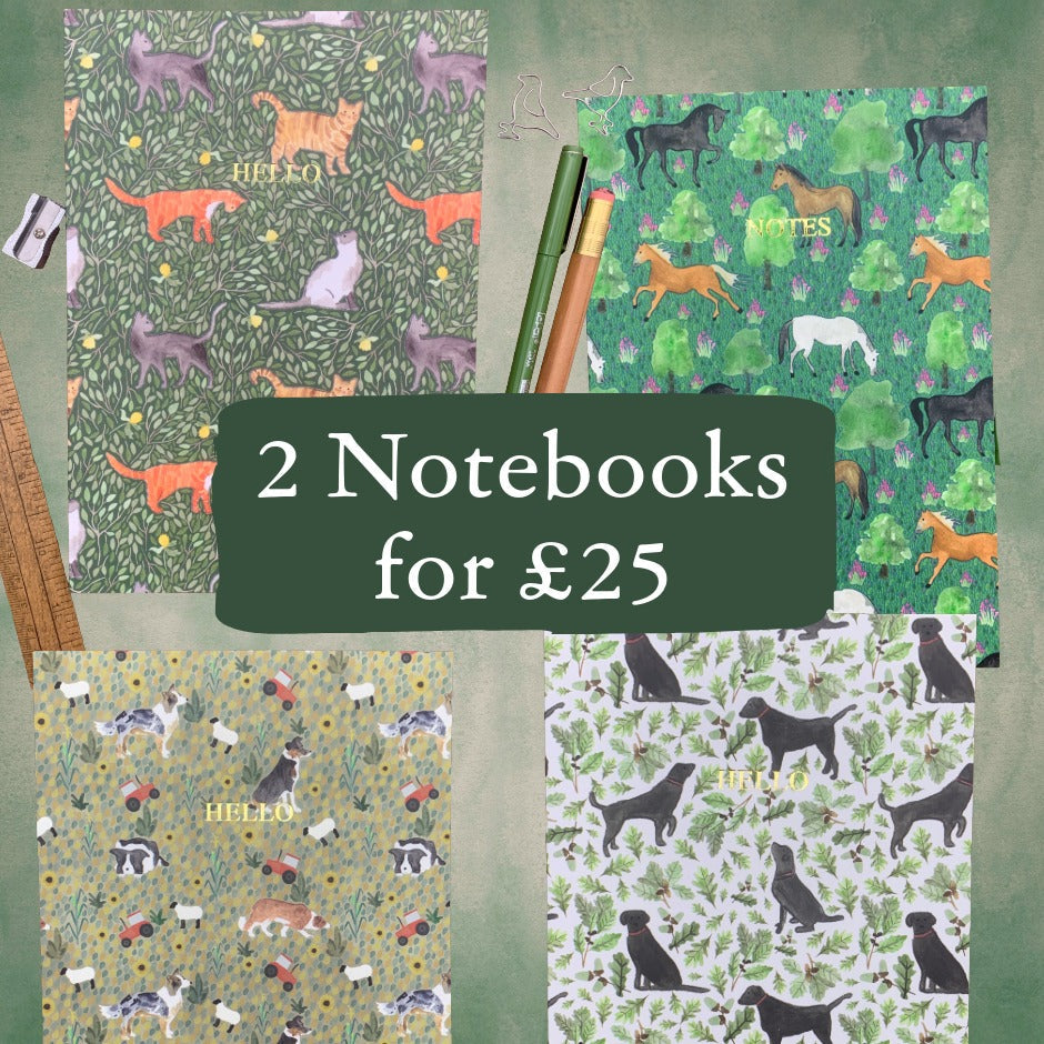 2 Notebooks for £25