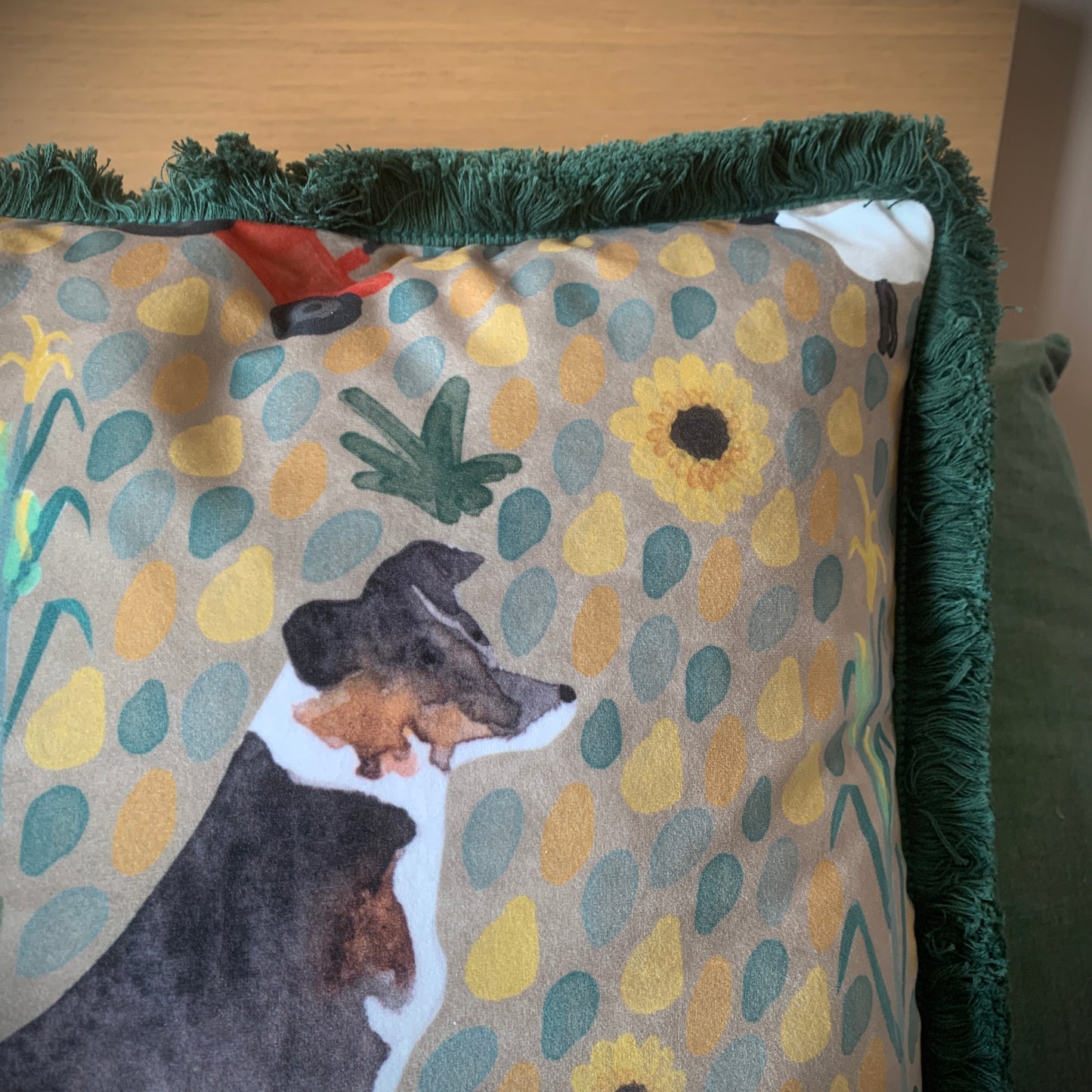 Border Collie Velvet Cushion