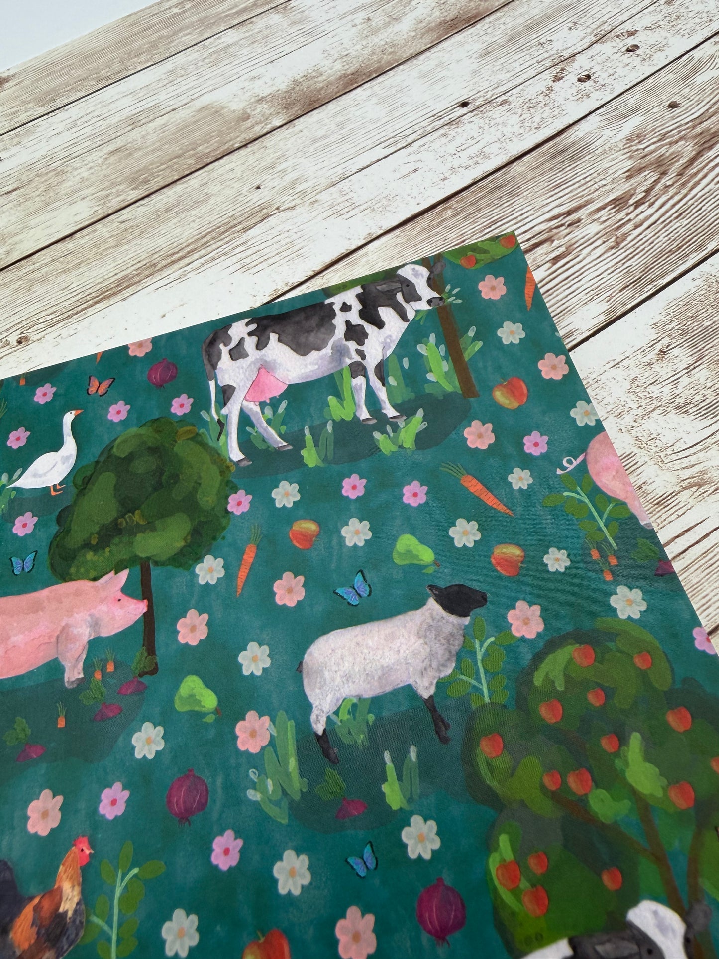 On the Farm Notebook