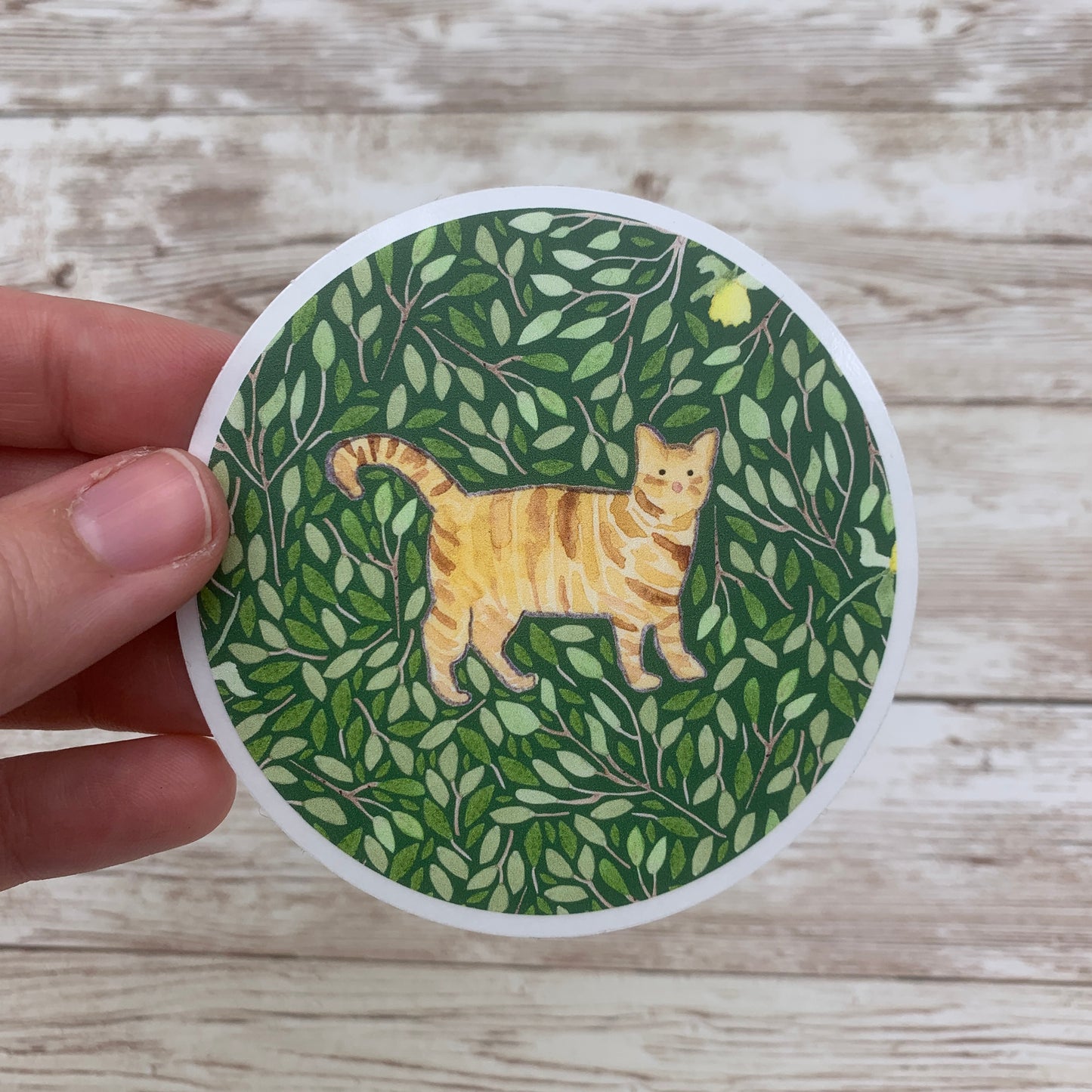 Tabby Cat Sticker