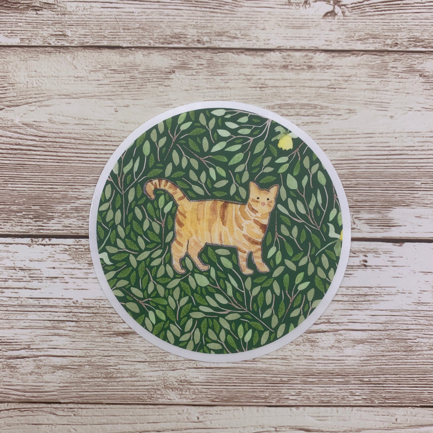 Tabby Cat Sticker