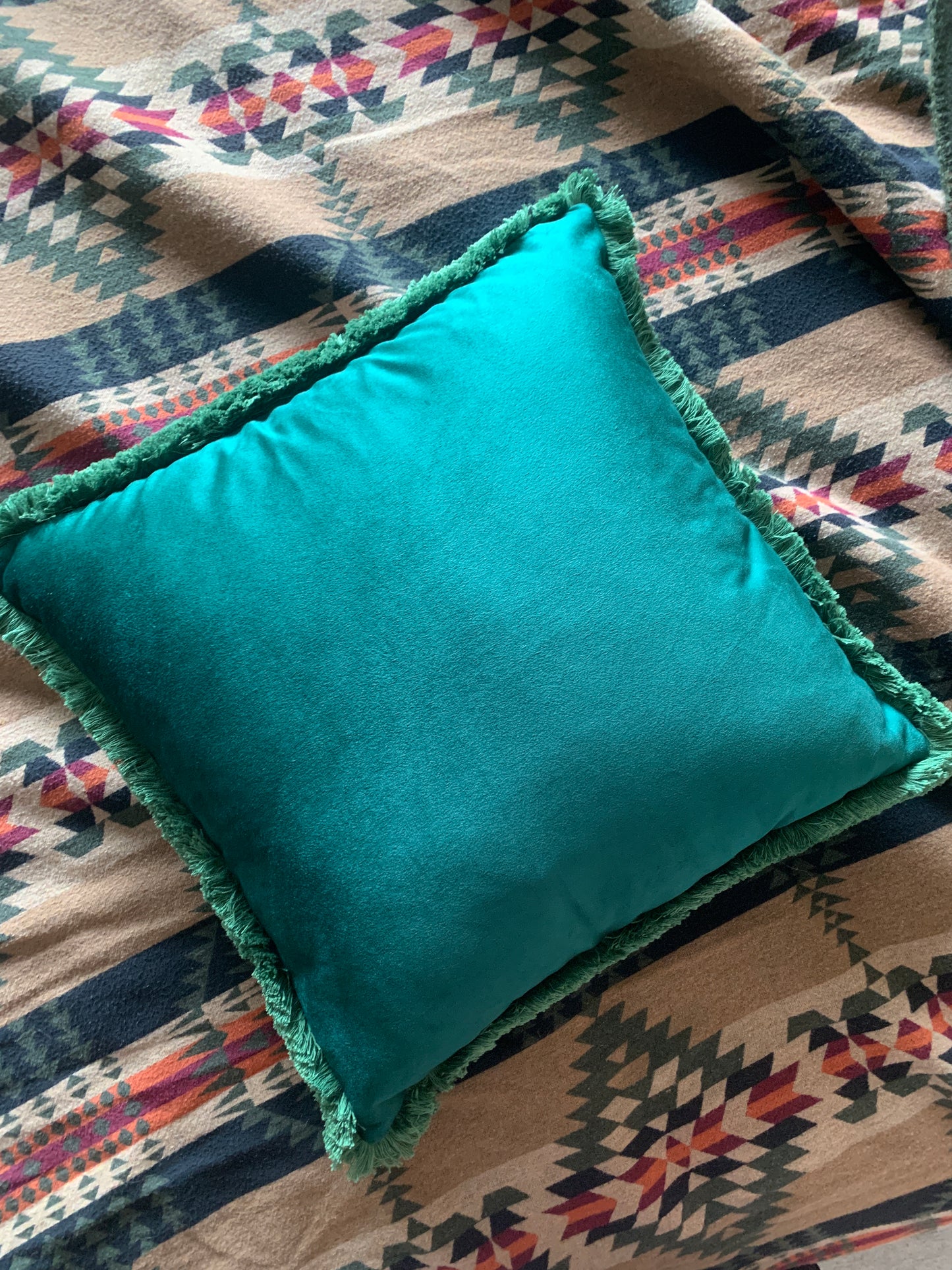 Black Labrador Velvet Cushion