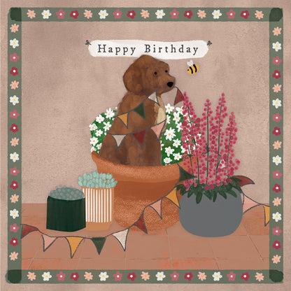 Cockapoo Happy Birthday greeting card