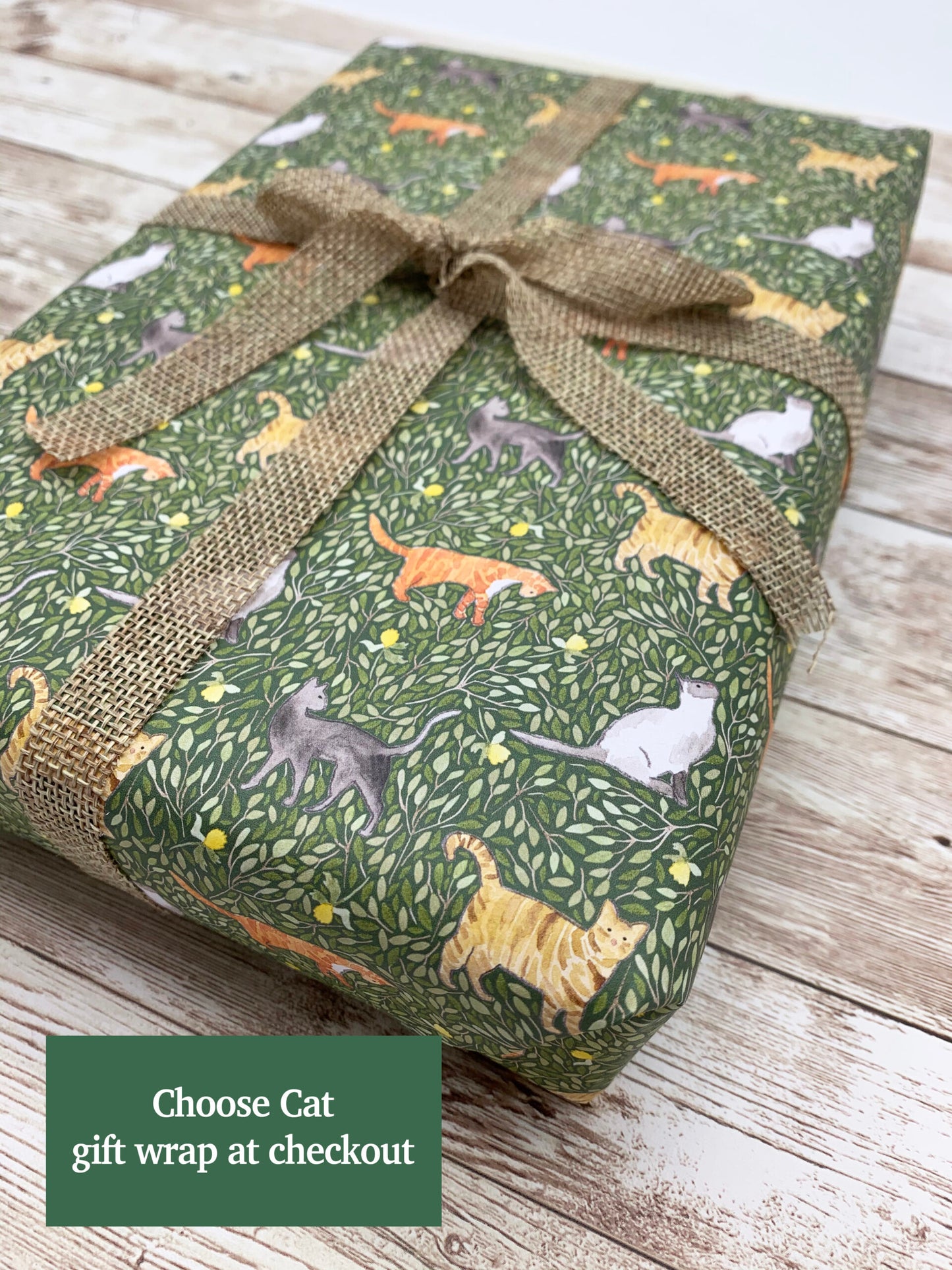 Cat notebook gift set