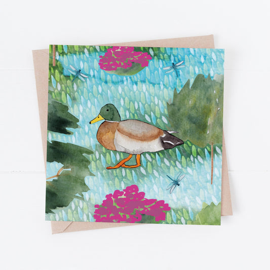Mallard duck greeting card