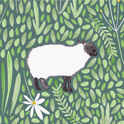 Sheep Greeting Card